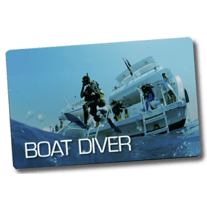 Boat Diver